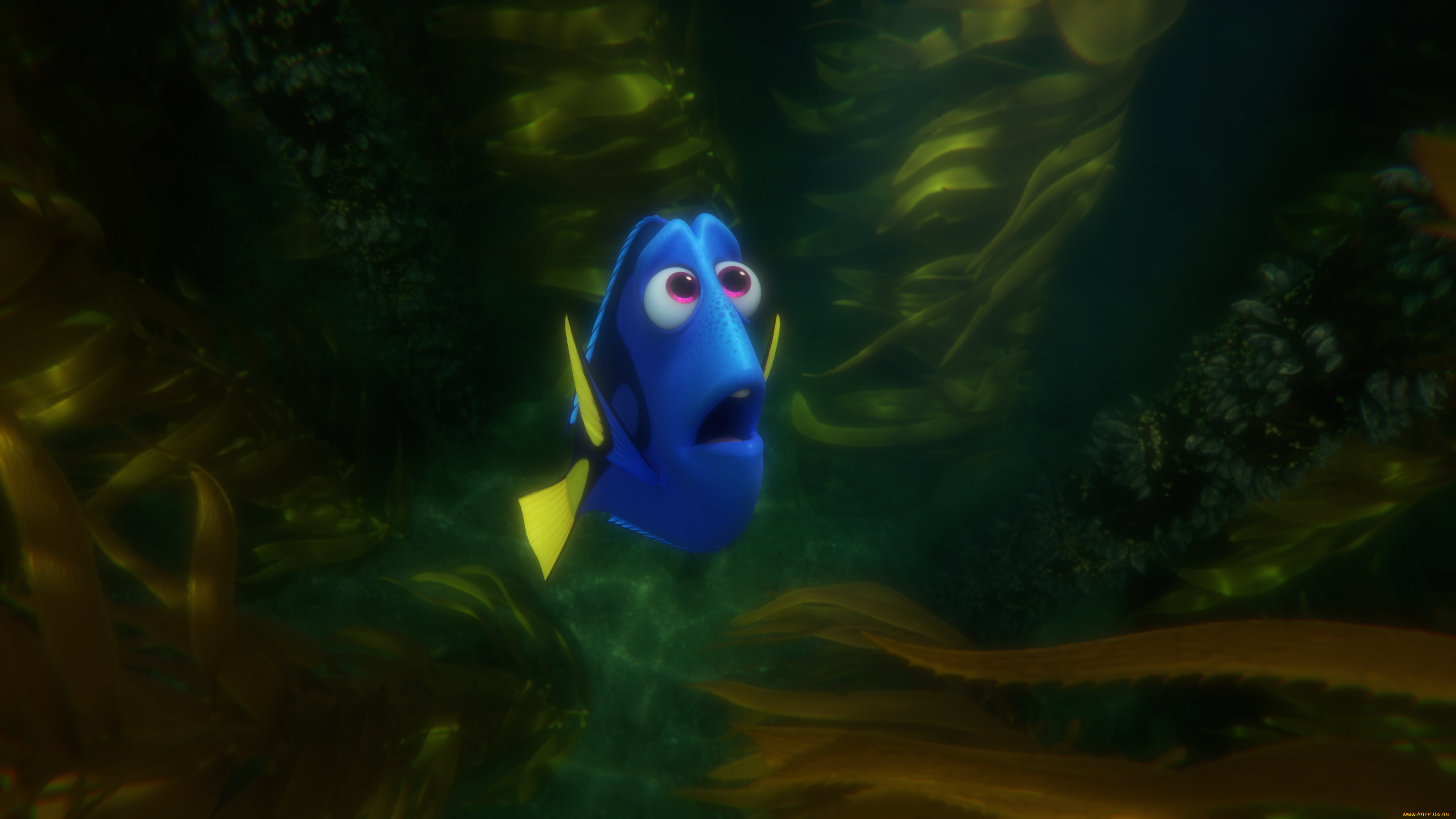 , finding dory, 